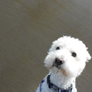 Meet your Posher, Ann